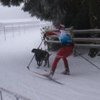 Závody psích spřežení<br>19.1.-20.1.2013