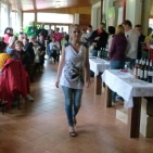 Festival moravských vín, módní přehlídka, dětský den<br>1. června 2013